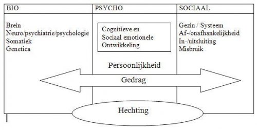 LVB Psychosociale risicofactoren